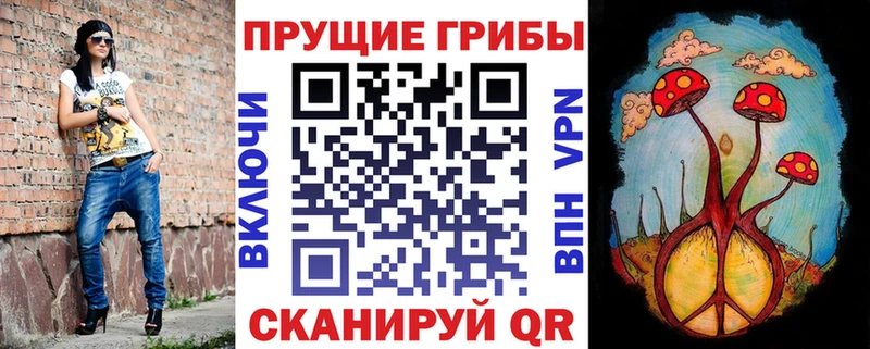 Псилоцибиновые грибы прущие грибы  OMG вход  Великий Устюг 